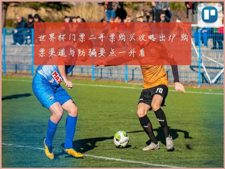 世界杯门票二手票购买攻略出炉 购票渠道与防骗要点一并看
