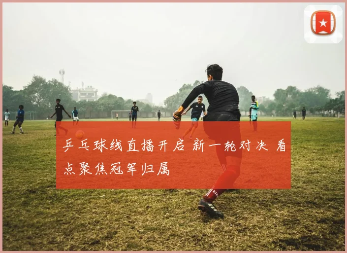 乒乓球线直播开启 新一轮对决 看点聚焦冠军归属