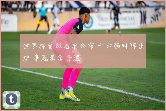 世界杯晋级名单公布 十六强对阵出炉 争冠悬念升温